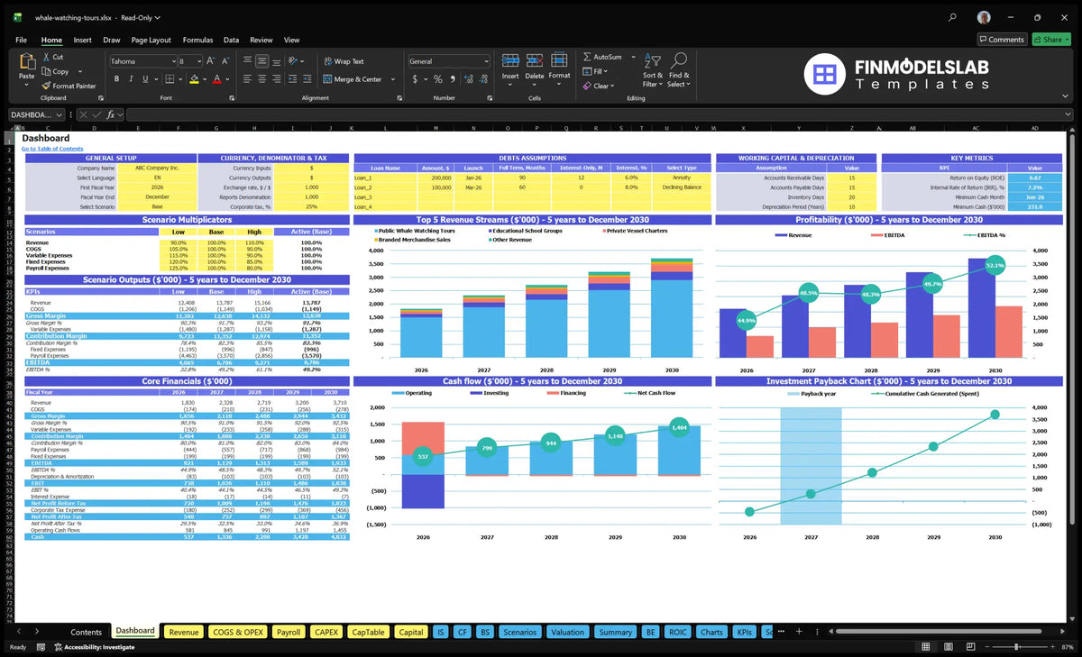 Whale Watching Tours Dashboard with scenario control, revenue mix, profitability, cash flow and key financial indicators
