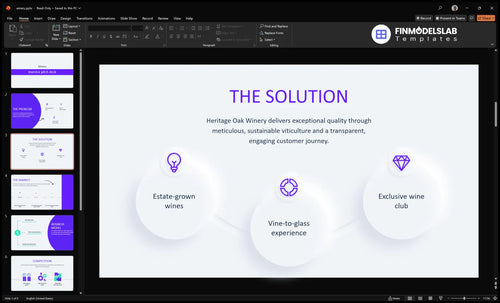 winery solution slide financialmodelslab