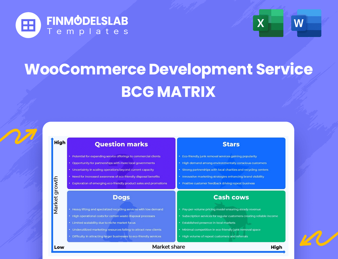 WooCommerce Development Service BCG Matrix