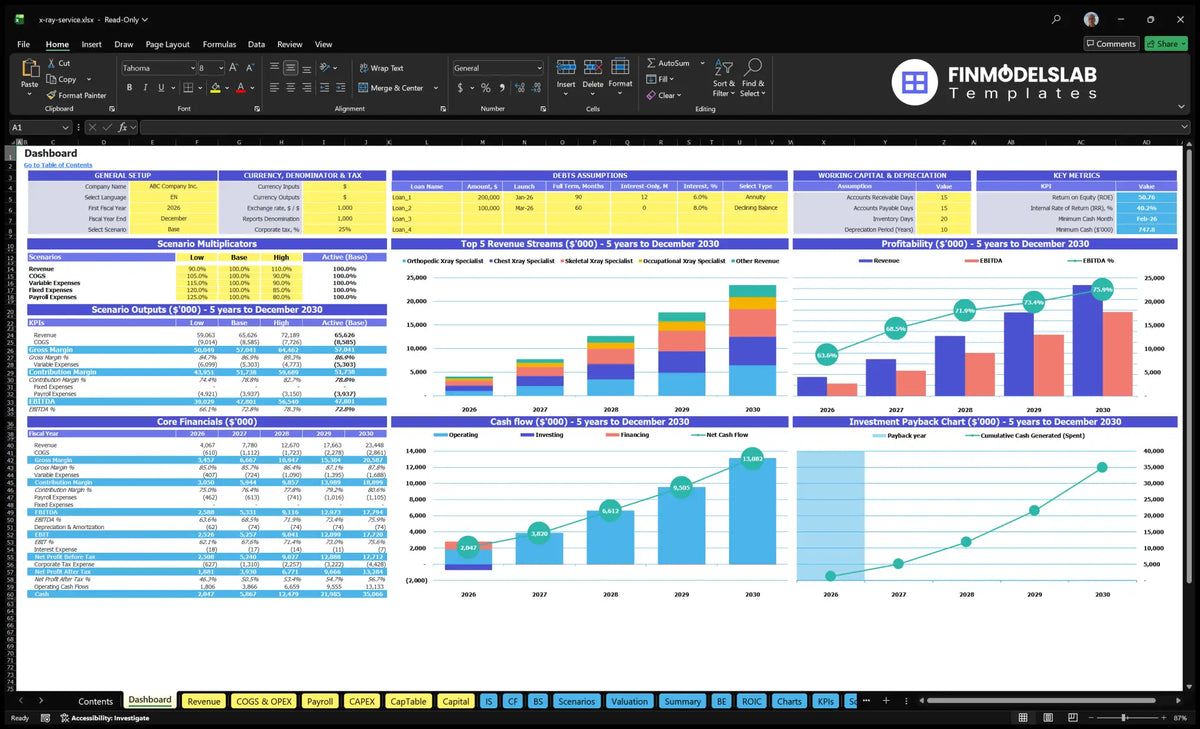 X-ray board with model, scenario output, mix of revenues, profitability, cash flow and return on investment
