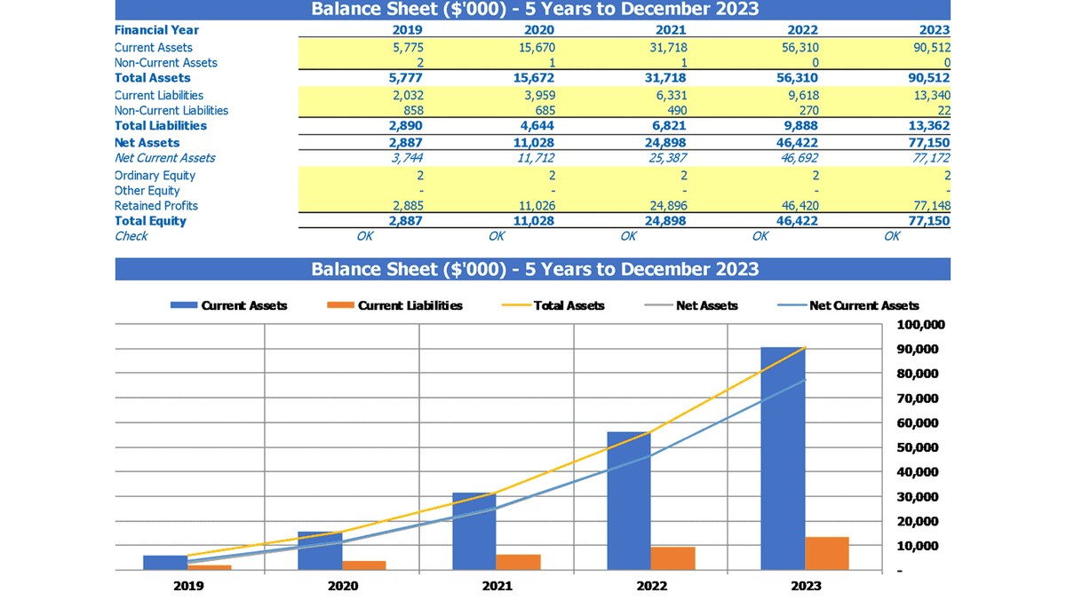 Five-year balance sheet with assets, liabilities, equity, checks, and chart